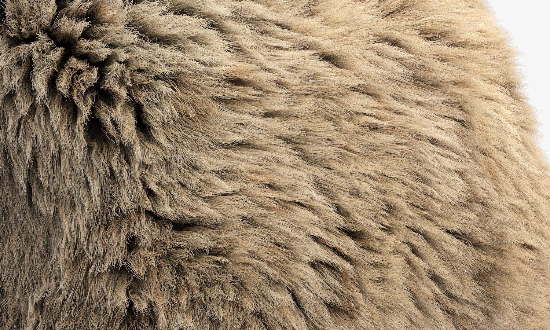 3D Collection of 38 fur pillows model https://p.turbosquid.com/ts-thumb/eD/cpflQT/96/3_6/jpg/1666127267/1920x1080/fit_q87/6adb5ff7157ffedb887b9758c95d56c09536d40f/3_6.jpg