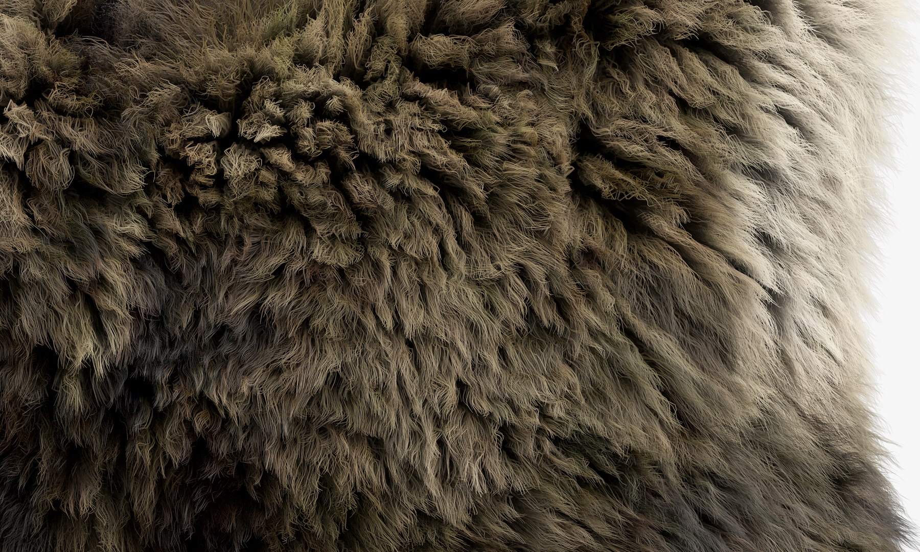 3D Collection of 38 fur pillows model https://p.turbosquid.com/ts-thumb/eD/cpflQT/N7/3_10/jpg/1666127269/1920x1080/fit_q87/c7638e3e0319e6ac9a36eaa46b56003dce63c418/3_10.jpg