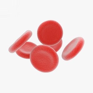 3D model red blood cell