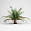 3d volume 15 exotic plants