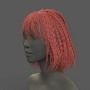 3D model haircard
