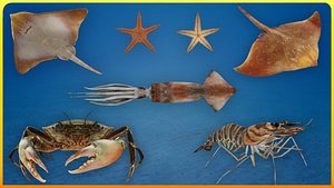 Ocean Animals Pack Animated