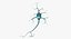 Neurons