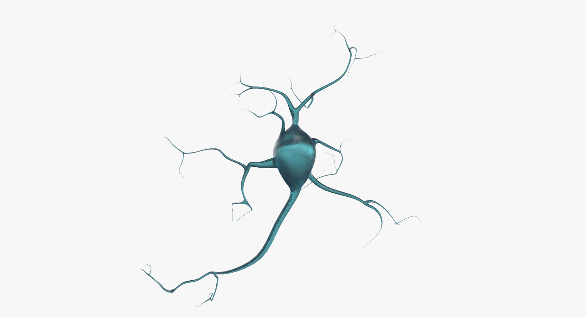 neurons 3D model https://p.turbosquid.com/ts-thumb/eD/q6VG81/q2McMEAn/4/jpg/1514661444/1920x1080/fit_q87/8f85a090921d2137c6451f1c311968726fc80b97/4.jpg