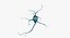 Neurons