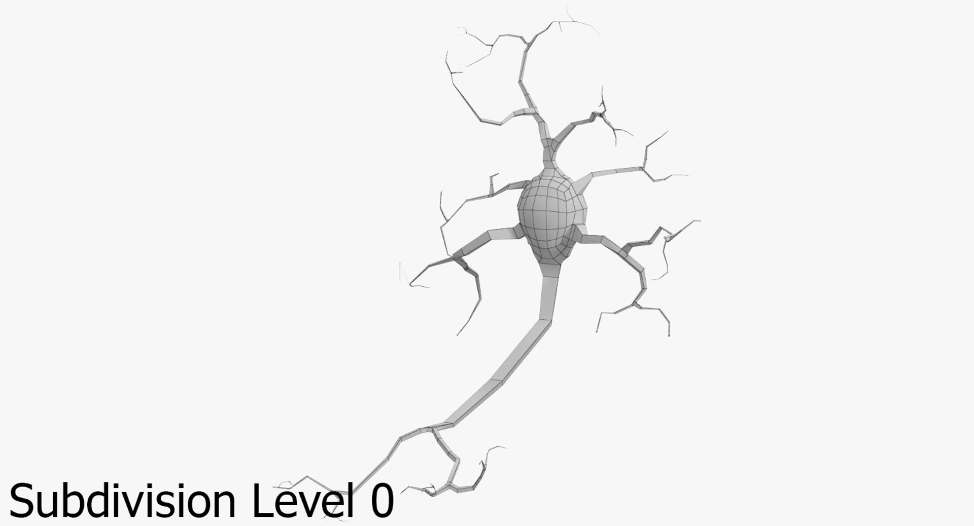 neurons 3D model https://p.turbosquid.com/ts-thumb/eD/q6VG81/r6ISHGTK/sm_1_0/jpg/1514661648/1920x1080/fit_q87/0d02c7db1efbf0f959512f1ca67847edb4fc36ba/sm_1_0.jpg