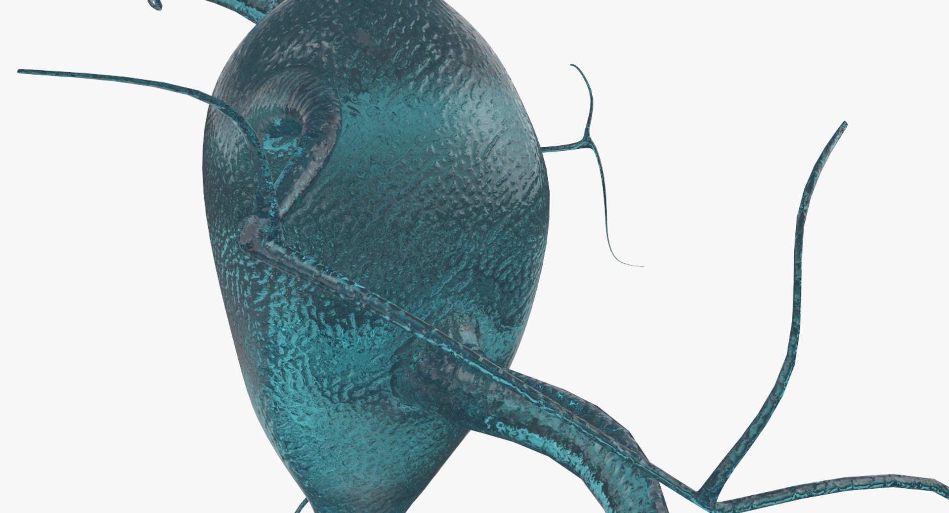 neurons 3D model https://p.turbosquid.com/ts-thumb/eD/q6VG81/ycd71MkF/5/jpg/1514661444/1920x1080/fit_q87/1c44d3fe88a19ef0ca57207843f94e8ed2c91849/5.jpg