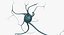 Neurons