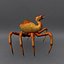 Horror Camel Spider