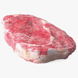 3D Meat Slice Frozen model