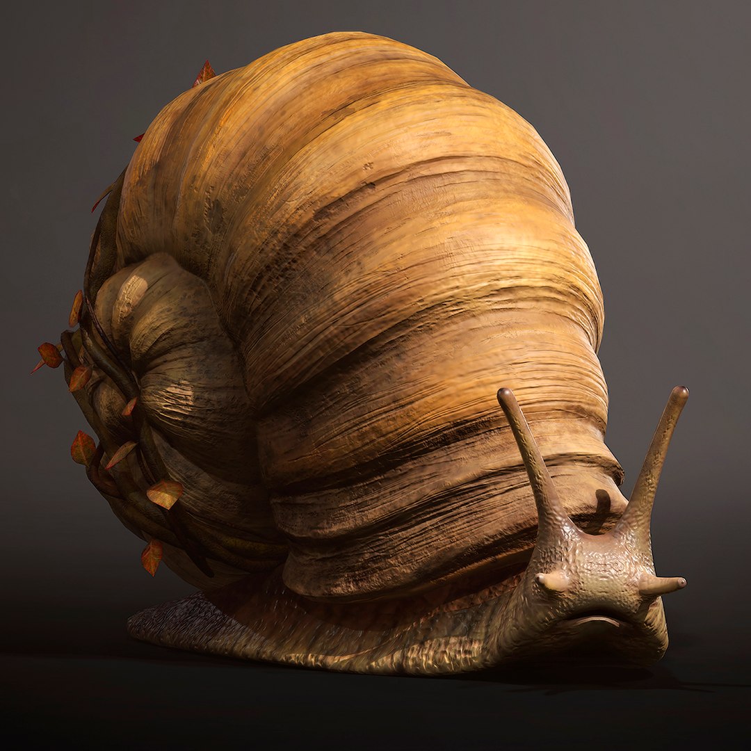 3D Land snail3 model https://p.turbosquid.com/ts-thumb/eD/xmrvS8/98/1200x1200/jpg/1725056131/1920x1080/fit_q87/972882e28de3e23cda3dc27db4f52709395231d7/1200x1200.jpg