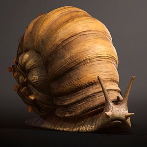 3D Land snail3 model