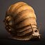 3D Land snail3 model
