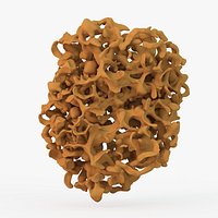 Osteoporosis Damage