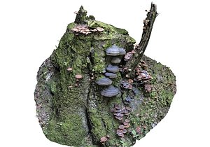 3D forest asset hd