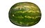 Half watermelon
