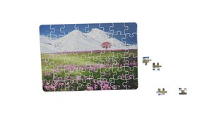 puzzle 3D