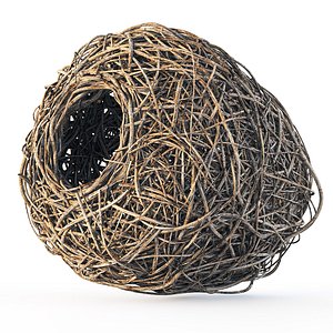 Nest n1 3D model