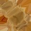 Soft Caramel Chew Candy - 3D Scanned