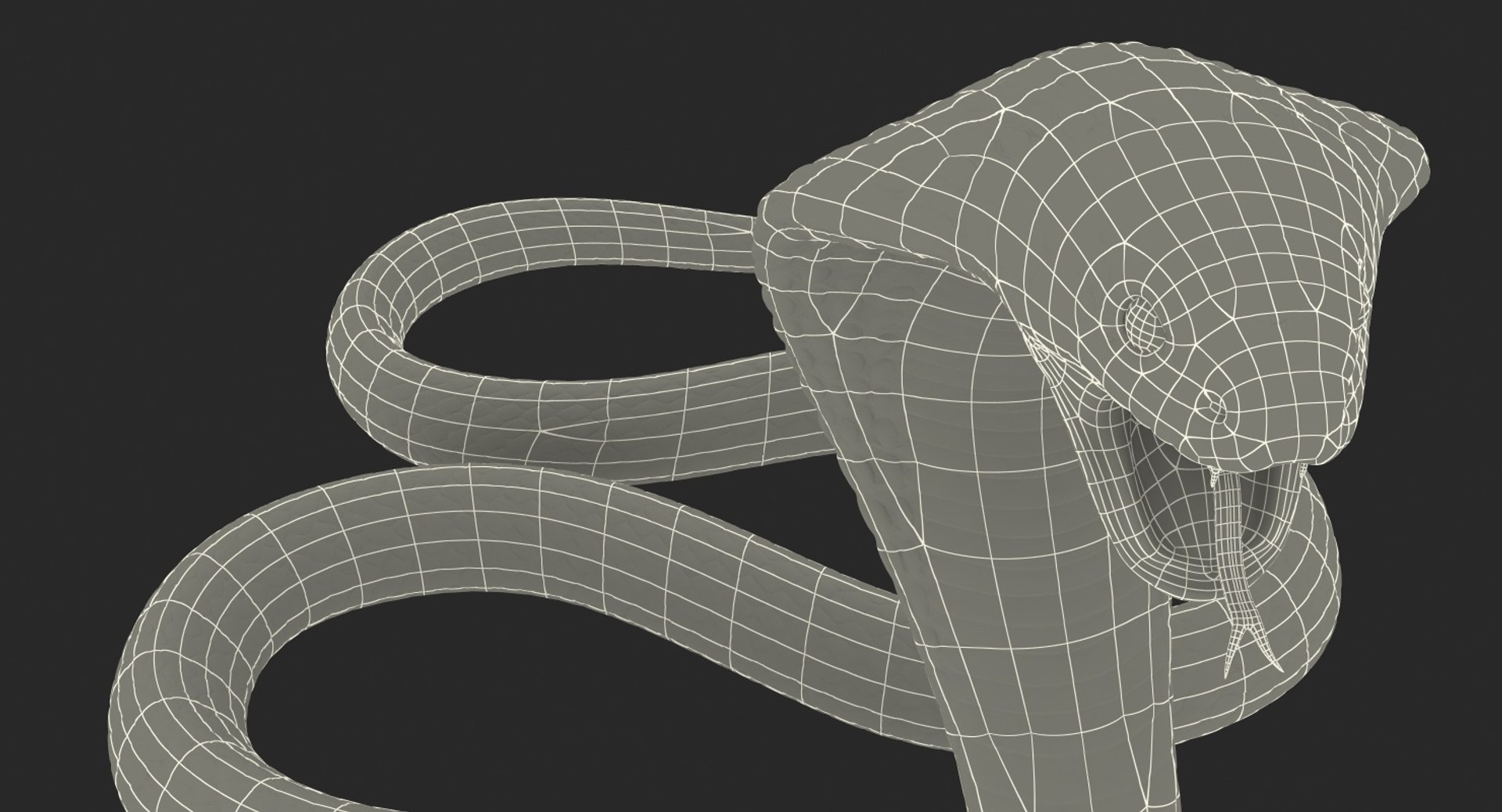 Cobra 3d modeling. How to make a low poly snake using Extrude + Curve  (Autodesk Maya tutorial) 