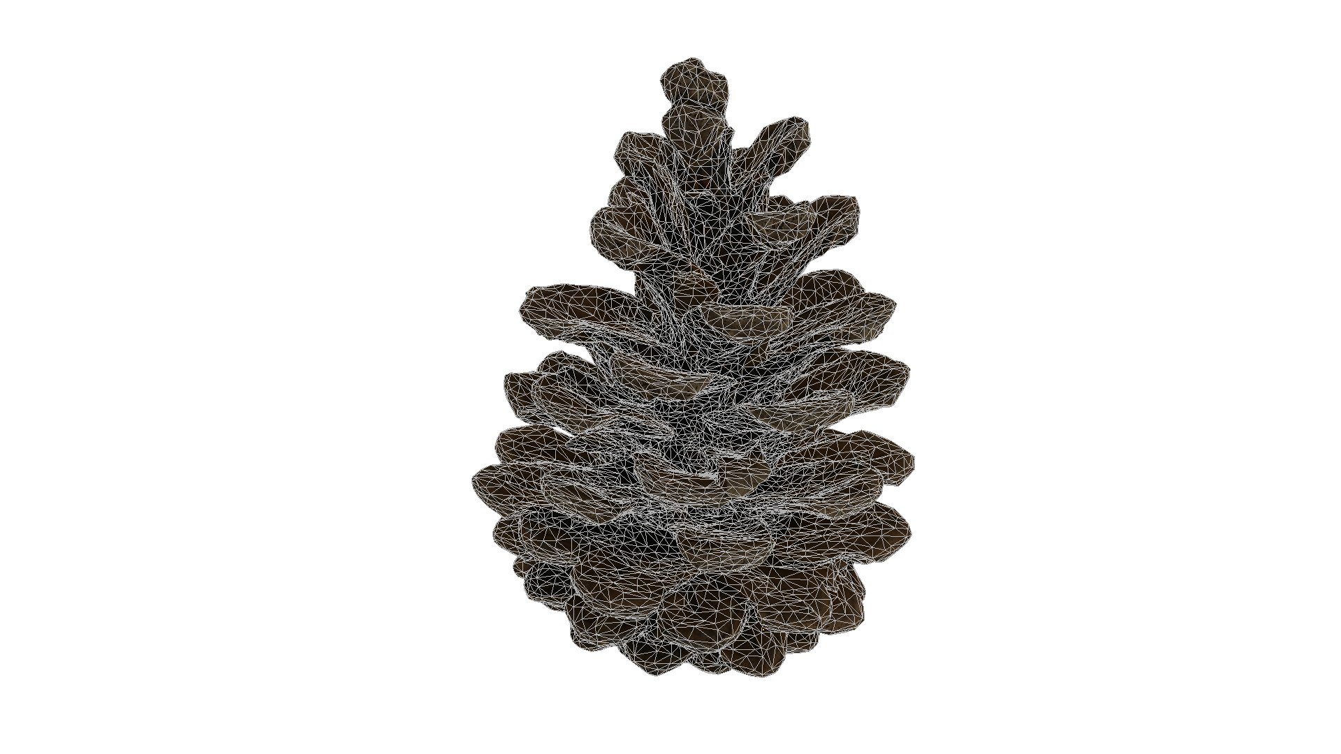 Fir Cones Set 3 3D model https://p.turbosquid.com/ts-thumb/eE/miNcrd/4O/fircone3_wires/jpg/1645563522/1920x1080/fit_q87/a67a3e3d7b036625ec154ad234505cb4f9ebd3cb/fircone3_wires.jpg