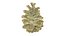 Fir Cones Set 3