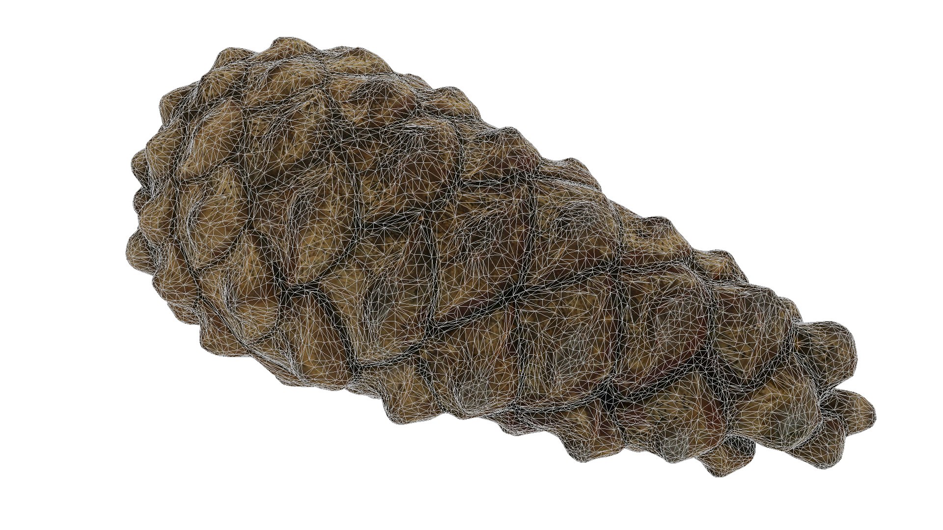 Fir Cones Set 3 3D model https://p.turbosquid.com/ts-thumb/eE/miNcrd/9e/fircone1_wire/jpg/1645563480/1920x1080/fit_q87/e19bb85c42e533d54189785ba8aa1e367e6a43ec/fircone1_wire.jpg
