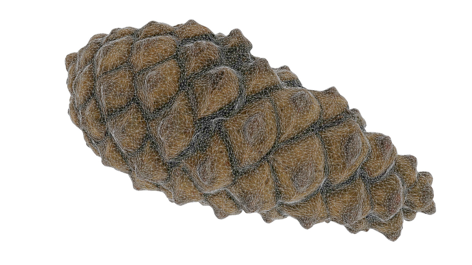 Fir Cones Set 3 3D model https://p.turbosquid.com/ts-thumb/eE/miNcrd/AR/fircone2_wires/jpg/1645563511/1920x1080/fit_q87/f05c57b6585c95a17d7eb84a1579e31cefdf5fe7/fircone2_wires.jpg