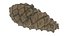 Fir Cones Set 3