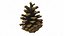 Fir Cones Set 3
