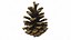 Fir Cones Set 3