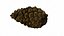 Fir Cones Set 3