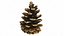 Fir Cones Set 3