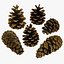 Fir Cones Set 3