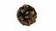 Fir Cones Set 3