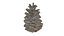 Fir Cones Set 3