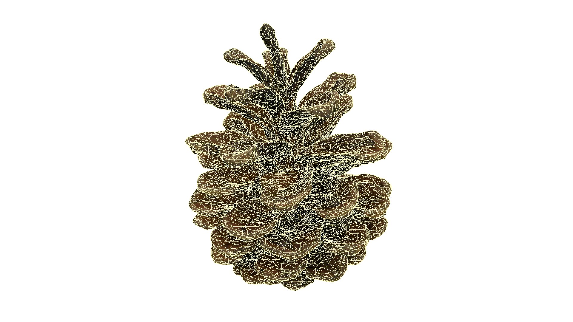 Fir Cones Set 3 3D model https://p.turbosquid.com/ts-thumb/eE/miNcrd/zE/fircone4_wireframe/jpg/1645563558/1920x1080/fit_q87/c3e2b37fcbdfe535ecad1dad1992fd1b0182e038/fircone4_wireframe.jpg