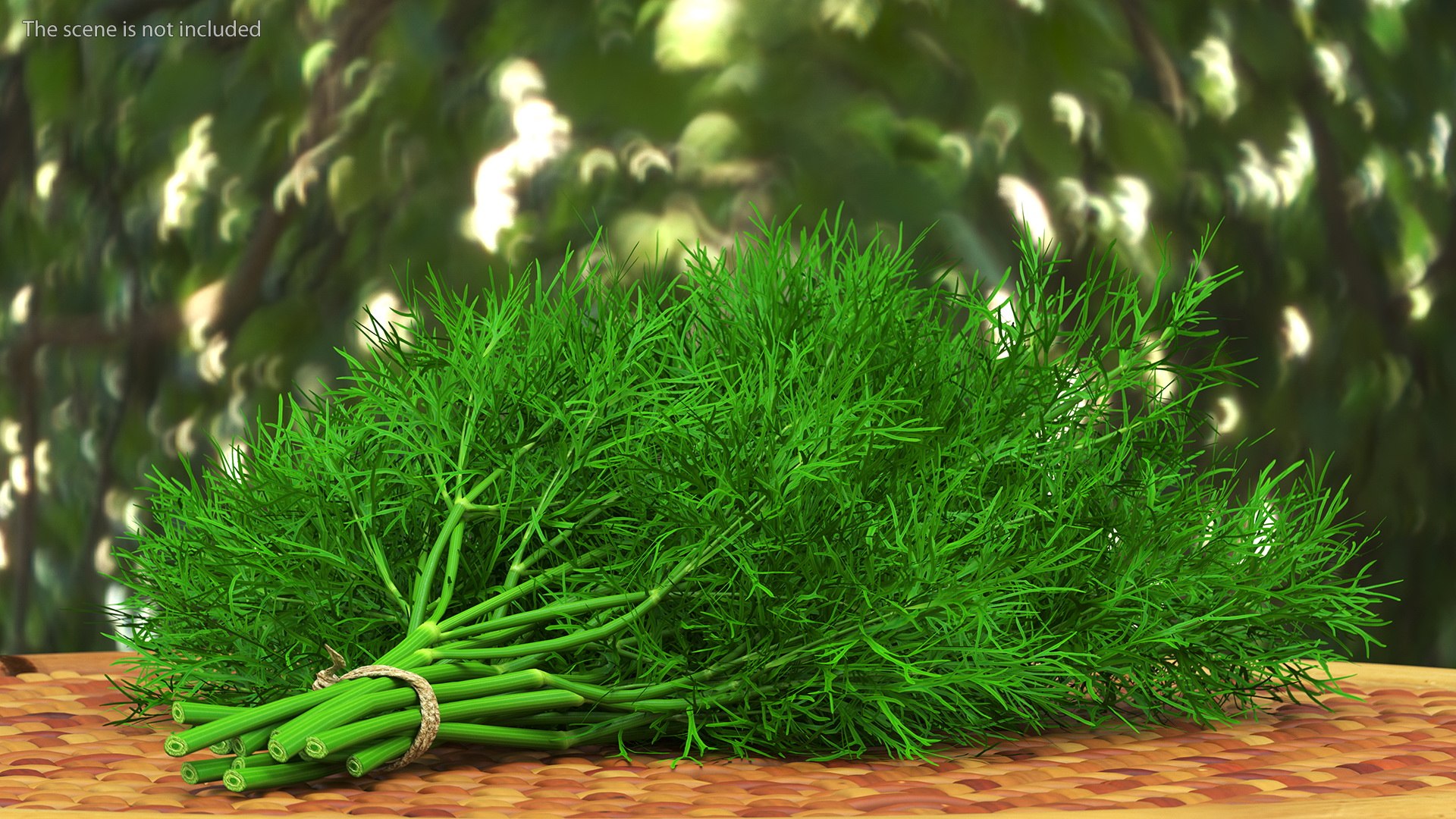 Dill Bunch With Rope 3D model https://p.turbosquid.com/ts-thumb/eF/0aA3Zb/5j/dillbunchwithrope3dmodel002/jpg/1651850471/1920x1080/fit_q87/b370b8c237281fb4221c0057ce8a8bd12d397506/dillbunchwithrope3dmodel002.jpg