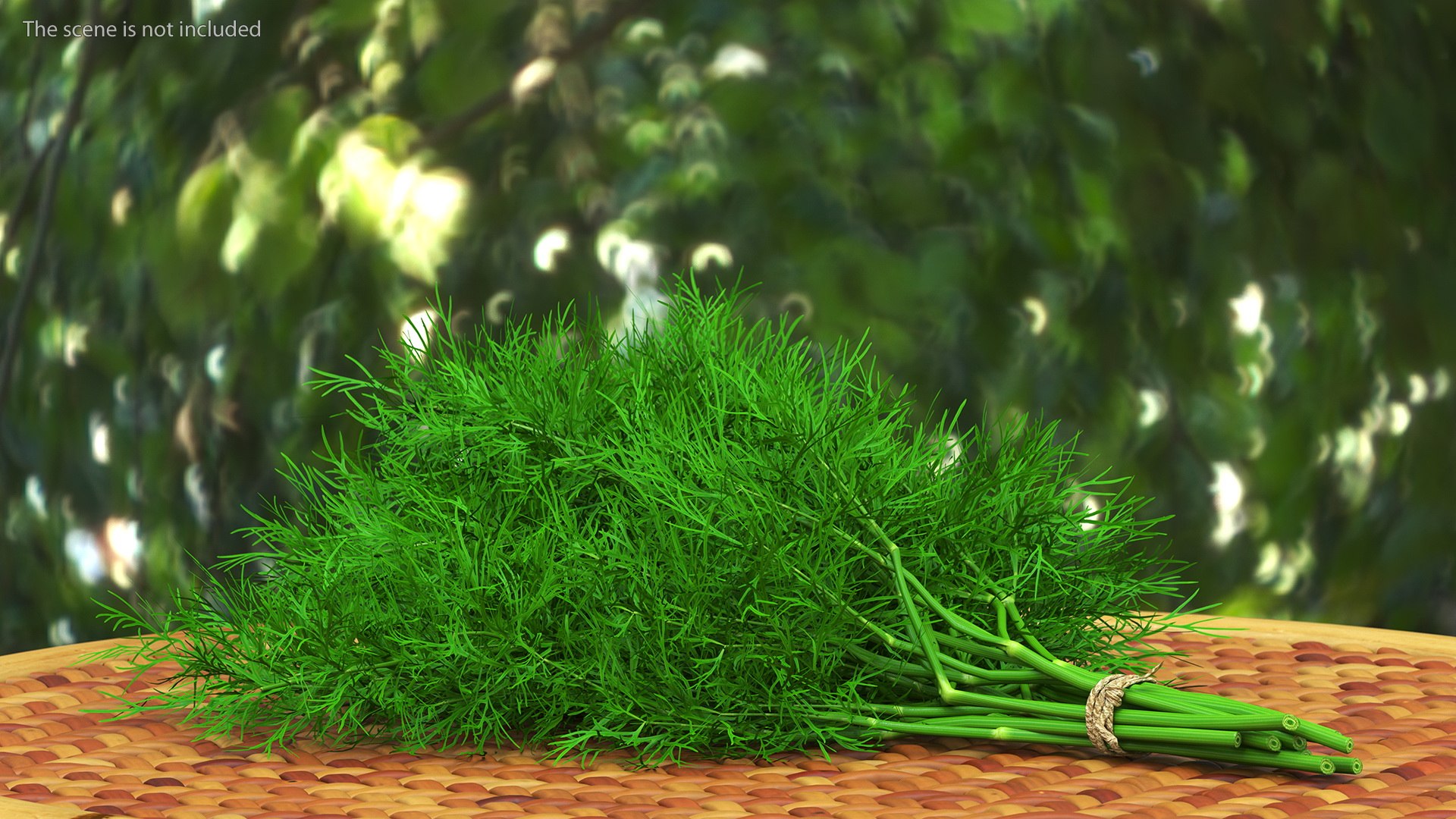 Dill Bunch With Rope 3D model https://p.turbosquid.com/ts-thumb/eF/0aA3Zb/J3/dillbunchwithrope3dmodel003/jpg/1651850473/1920x1080/fit_q87/a18b68af7398c95d4f58421c741a491948acfa77/dillbunchwithrope3dmodel003.jpg