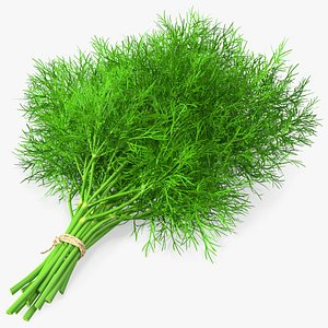 Dill Bunch With Rope 3D model