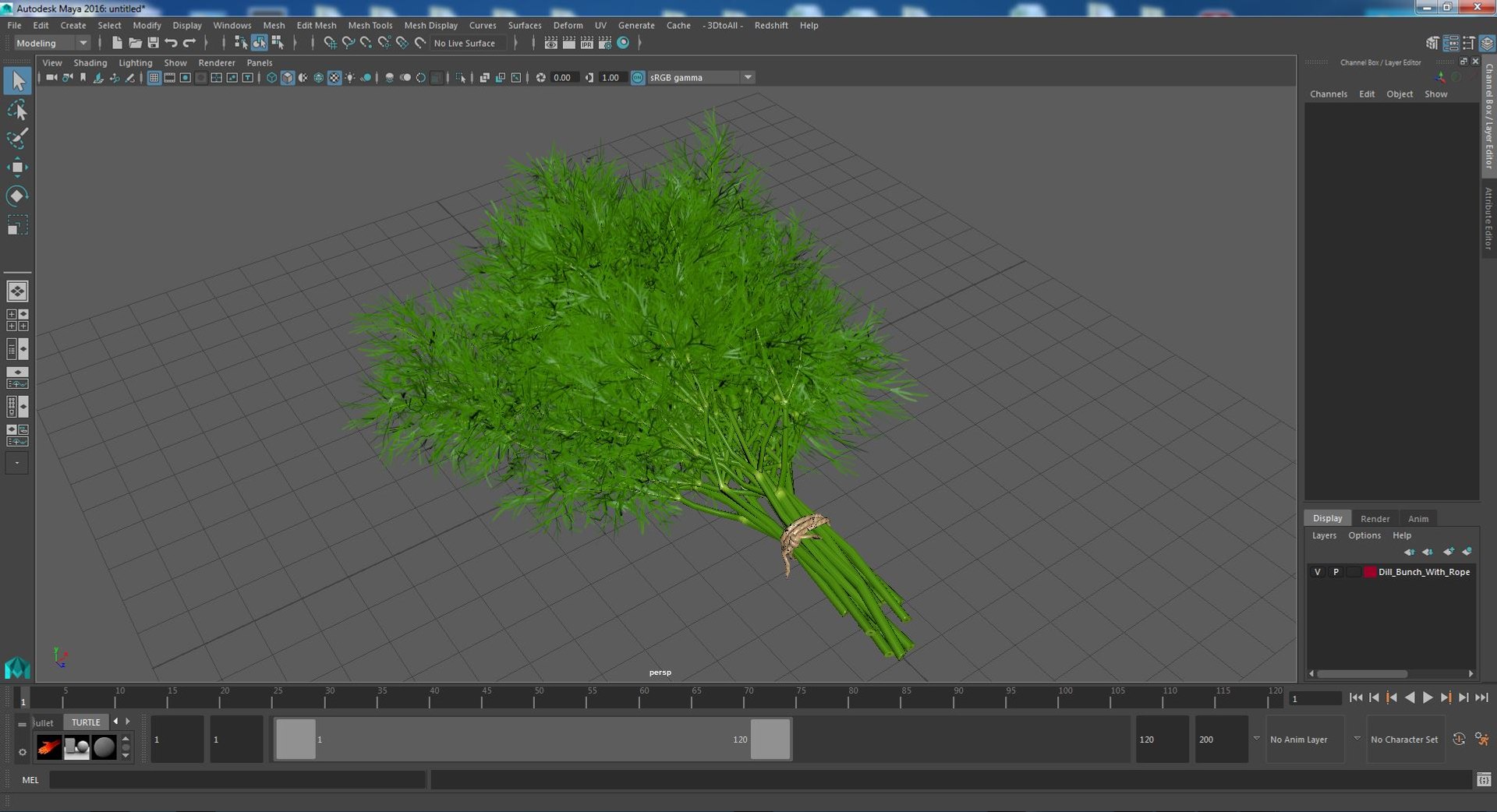 Dill Bunch With Rope 3D model https://p.turbosquid.com/ts-thumb/eF/0aA3Zb/eM/dillbunchwithrope3dmodel028/jpg/1651850543/1920x1080/fit_q87/6a04f4733e5145b38e96ca3936f18e011bb49284/dillbunchwithrope3dmodel028.jpg