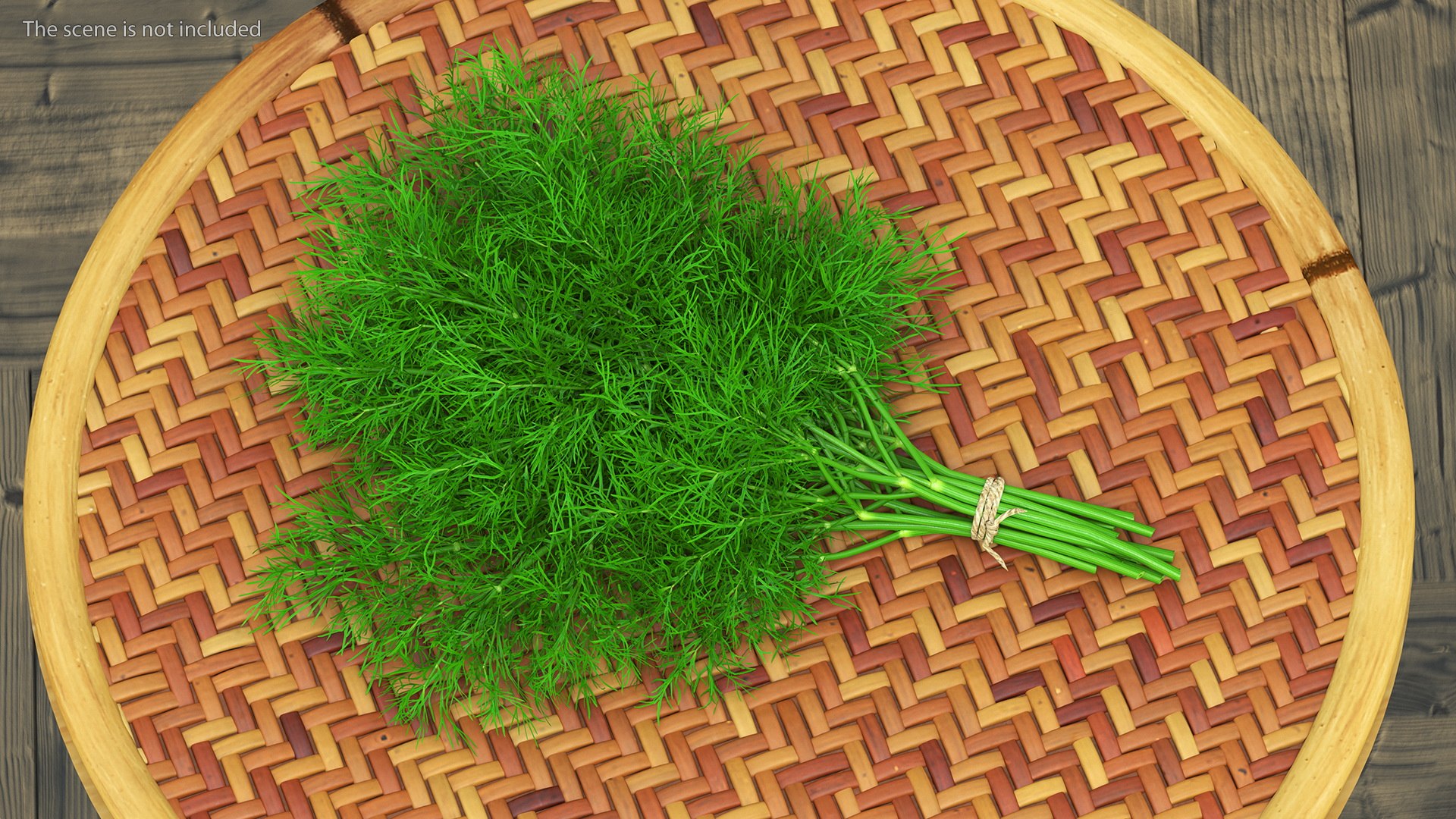 Dill Bunch With Rope 3D model https://p.turbosquid.com/ts-thumb/eF/0aA3Zb/hb/dillbunchwithrope3dmodel005/jpg/1651850479/1920x1080/fit_q87/f02207e2bfa58fd107cdc96fc17ba8576bb569bb/dillbunchwithrope3dmodel005.jpg
