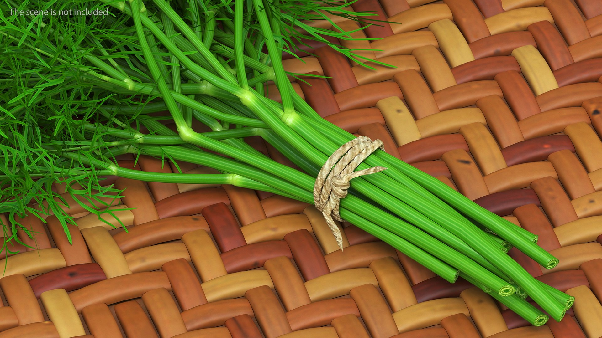 Dill Bunch With Rope 3D model https://p.turbosquid.com/ts-thumb/eF/0aA3Zb/lP/dillbunchwithrope3dmodel006/jpg/1651850482/1920x1080/fit_q87/54d87c0d6ca5f58a24b3b7d7c671ce5e5c9f7839/dillbunchwithrope3dmodel006.jpg