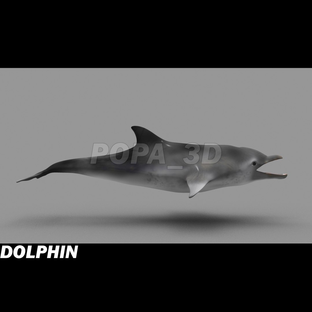 shark sea animals 3d max https://p.turbosquid.com/ts-thumb/eF/2U6IBQ/0TOns0hL/dolphinb/jpg/1299626091/1920x1080/fit_q87/c328c293f6c06644f921fd6424b3d0d2e209e676/dolphinb.jpg