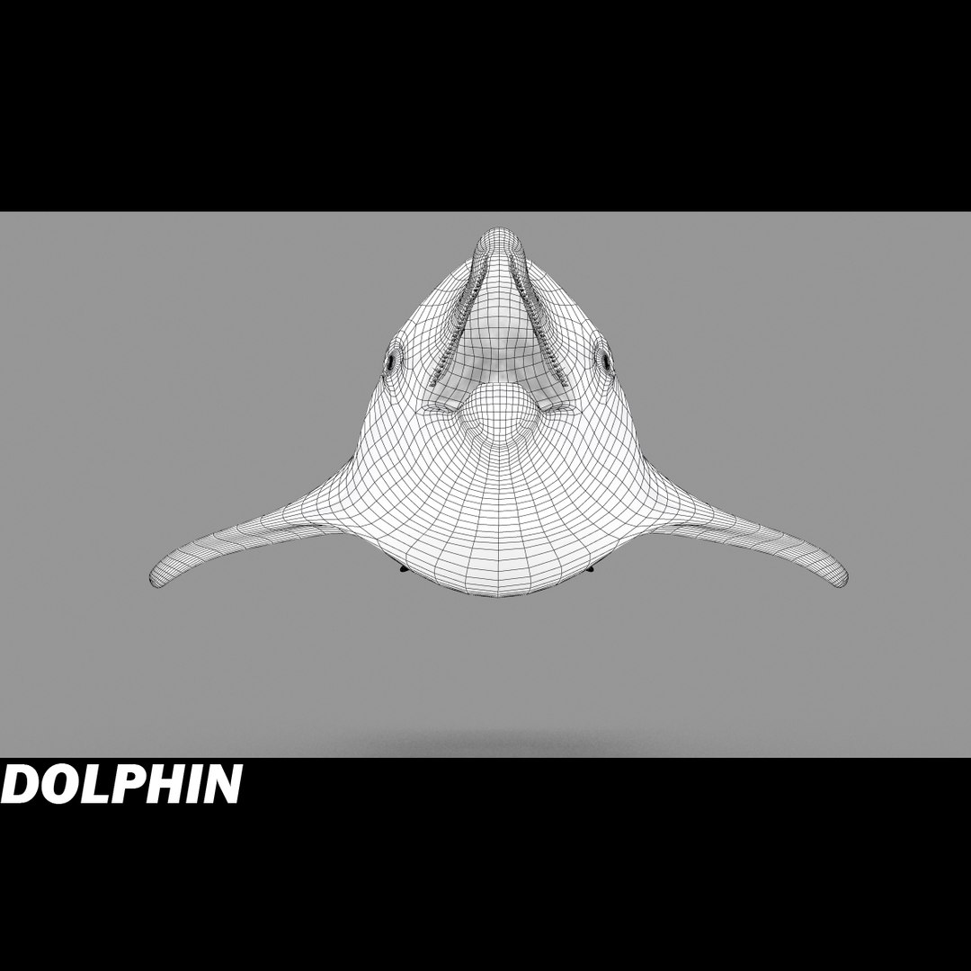 shark sea animals 3d max https://p.turbosquid.com/ts-thumb/eF/2U6IBQ/33NE1KY9/dolphink/jpg/1299626091/1920x1080/fit_q87/37bb2040170a03edf4f1946947dc4f86fac568a6/dolphink.jpg