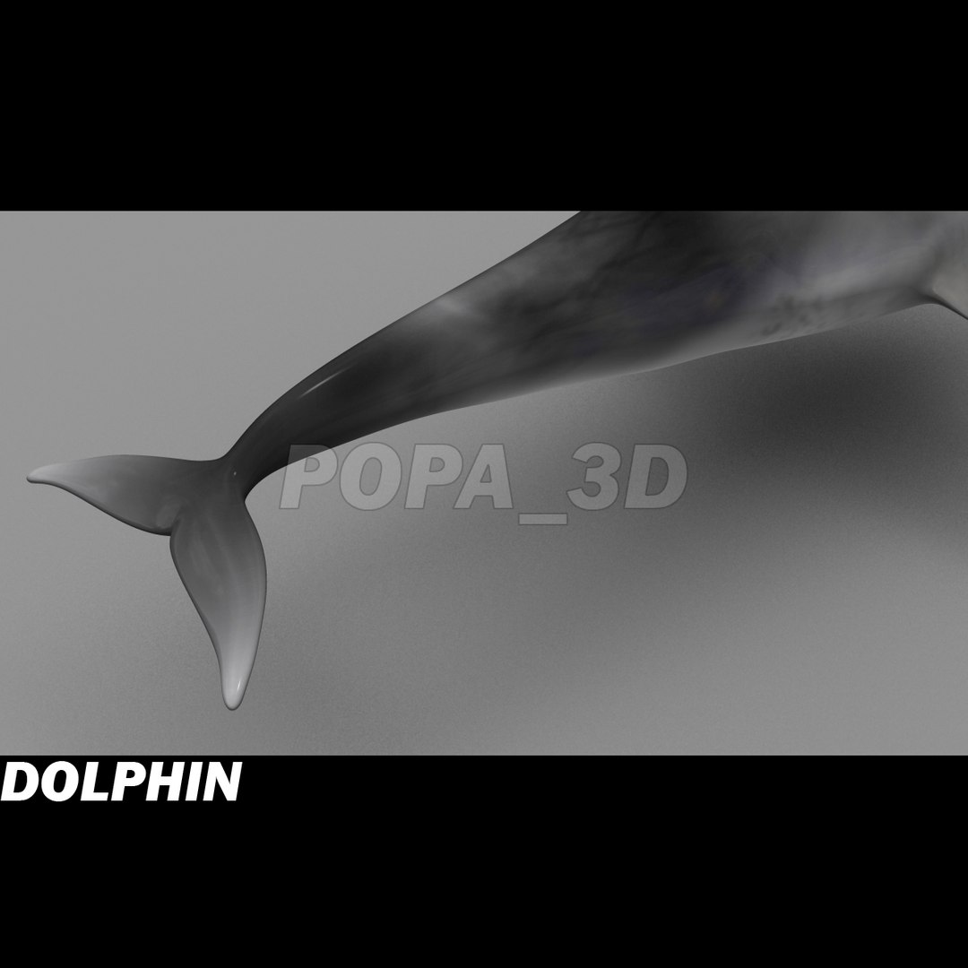 shark sea animals 3d max https://p.turbosquid.com/ts-thumb/eF/2U6IBQ/5mcKrKY0/dolphind/jpg/1299626091/1920x1080/fit_q87/13185170f234a7c70fd5c5bb11c167a0b4eb7259/dolphind.jpg