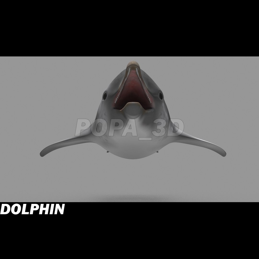 shark sea animals 3d max https://p.turbosquid.com/ts-thumb/eF/2U6IBQ/IW6VReAN/dolphinf/jpg/1299626091/1920x1080/fit_q87/a54933d6f3c6df7fed7398d6a989ab2d541f464d/dolphinf.jpg