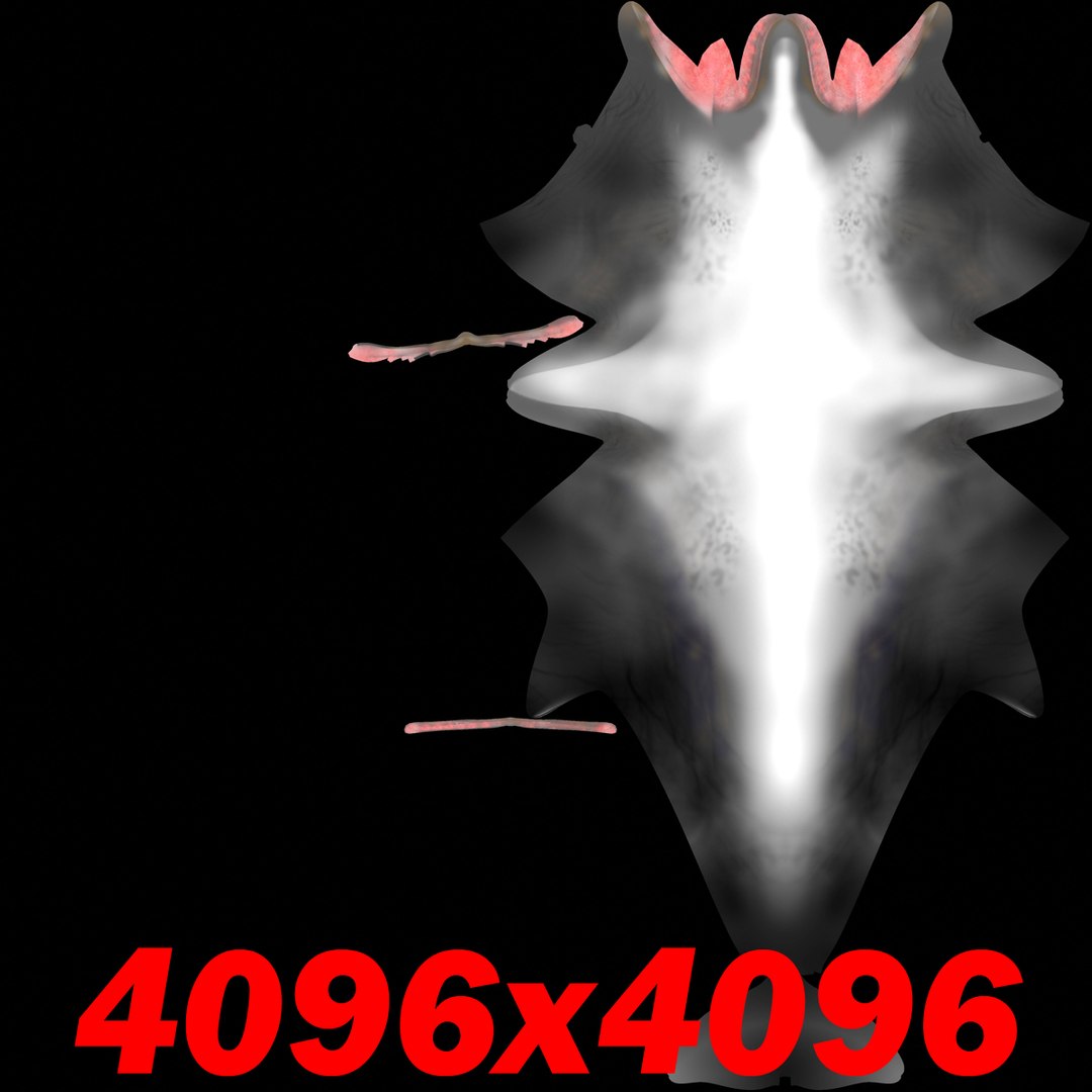 shark sea animals 3d max https://p.turbosquid.com/ts-thumb/eF/2U6IBQ/XUh4skZs/dolphink1/jpg/1299627205/1920x1080/fit_q87/cbfa24d42ebb741c789909631cf6bcc0441ac4d4/dolphink1.jpg