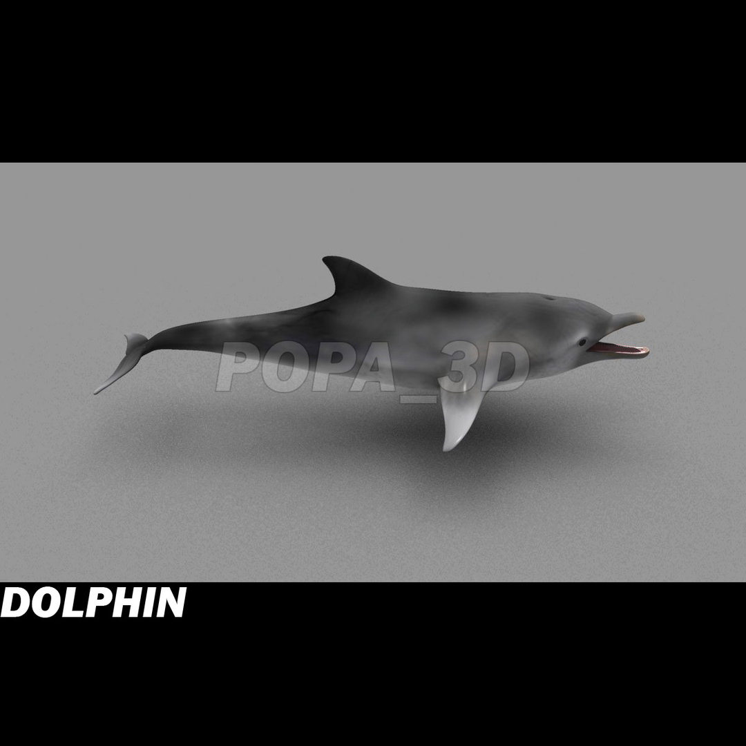shark sea animals 3d max https://p.turbosquid.com/ts-thumb/eF/2U6IBQ/e2kUwtV4/dol360/jpg/1299626527/1920x1080/turn_fit_q99/cffd2211b3ef3f27434d825d76e335bd939542ee/dol360-1.jpg