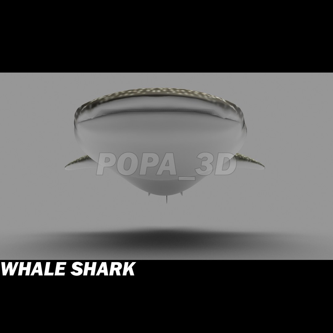 shark sea animals 3d max https://p.turbosquid.com/ts-thumb/eF/2U6IBQ/fUya3ovX/whalsharkd/jpg/1299102848/1920x1080/fit_q87/67e3362b7e58466e5745e1d6754b90062f37b76d/whalsharkd.jpg